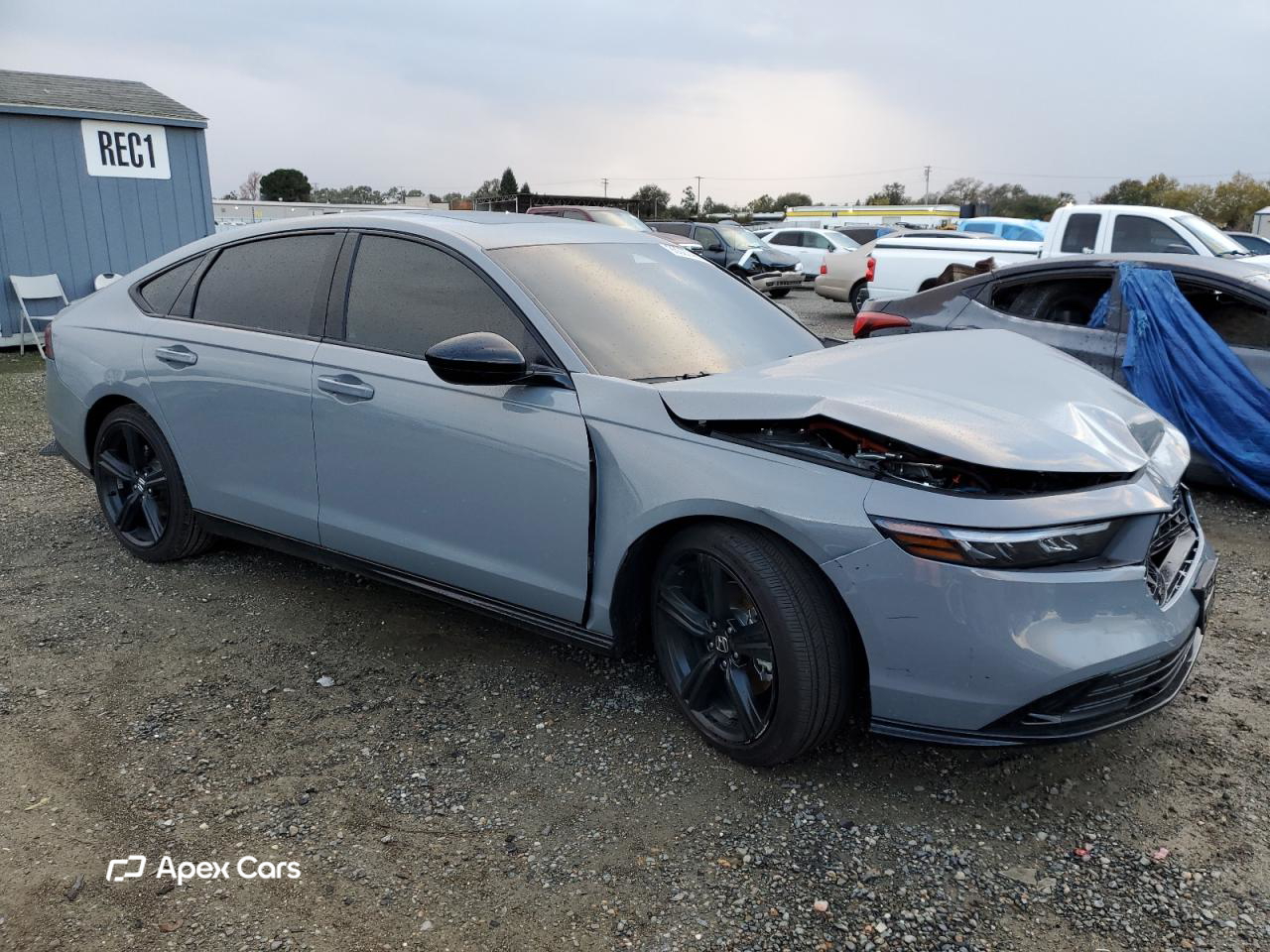 Honda Accord 2025
