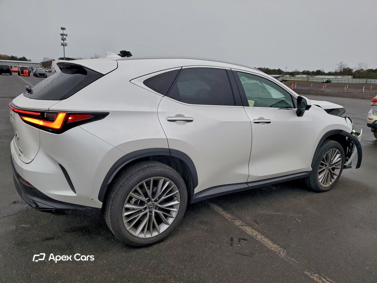 Lexus NX 2025