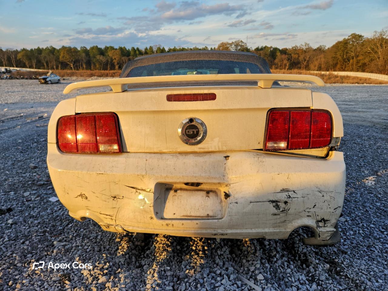Ford Mustang 2006