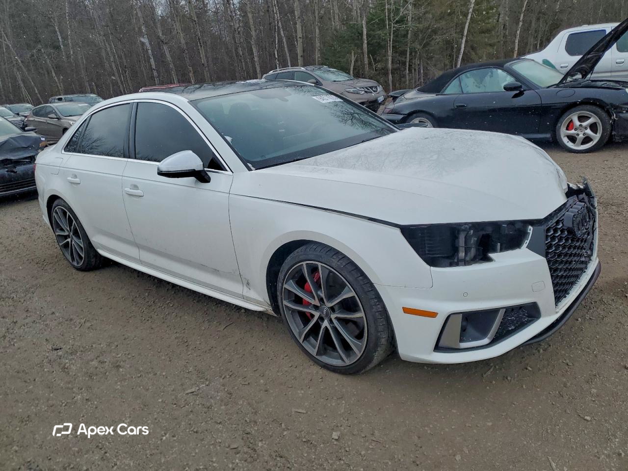 Audi RS4 2019