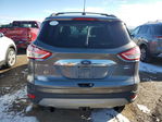 Ford Escape 2013
