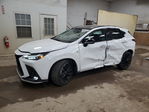 Lexus NX 2025