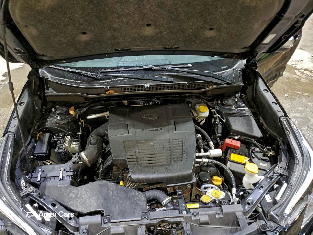 Subaru Forester 2023
