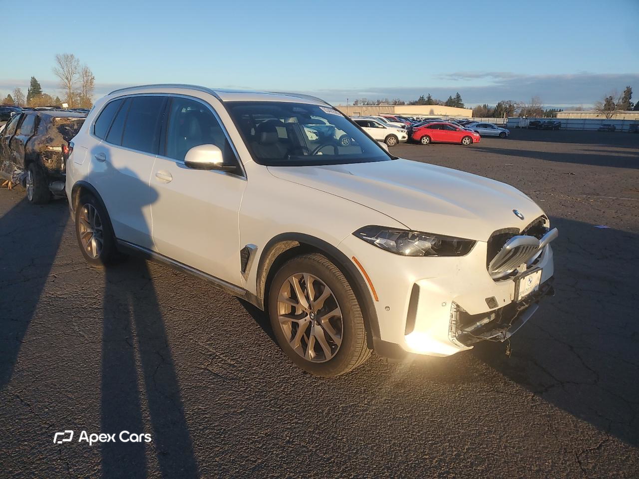 BMW X5 2024