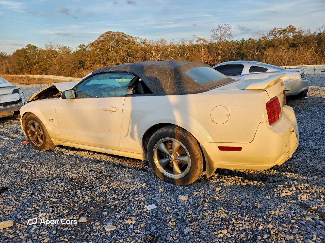 Ford Mustang 2006