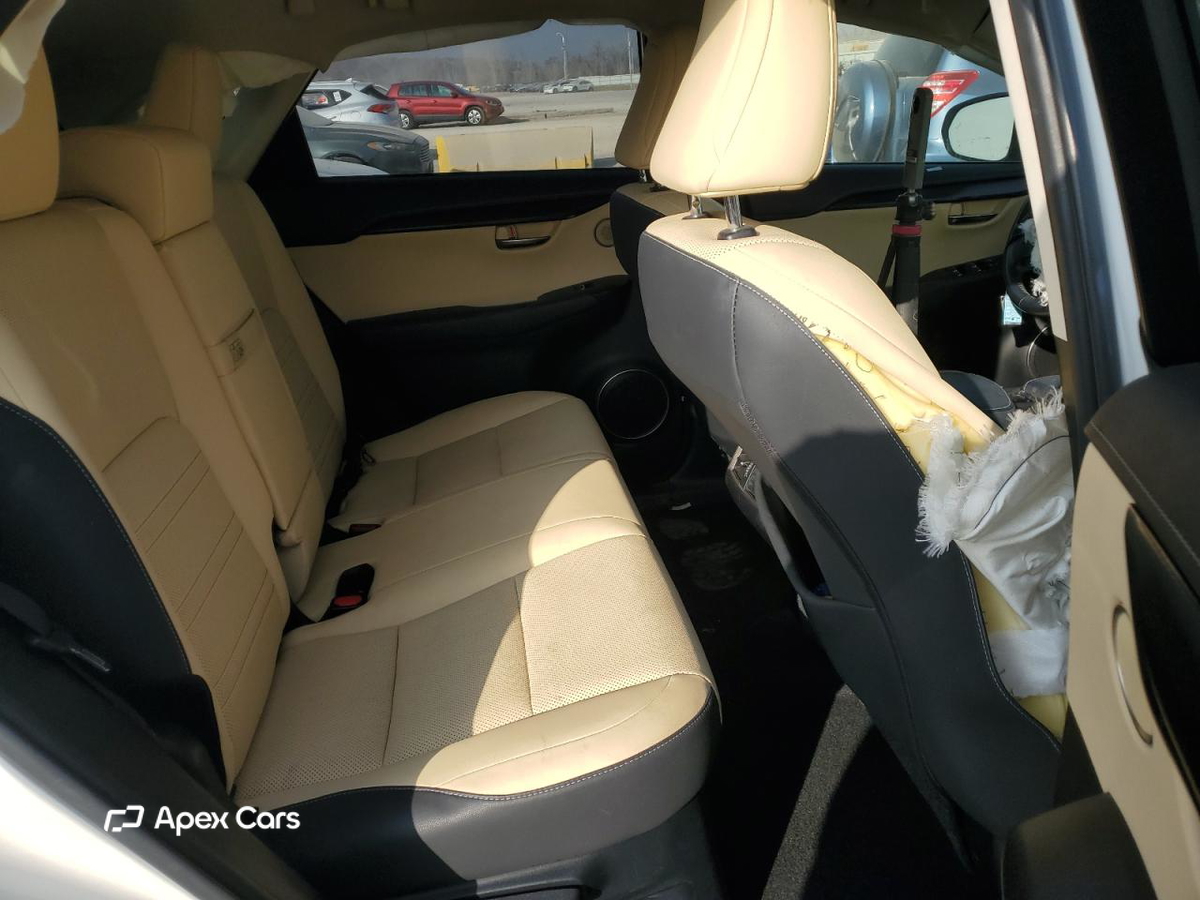 Lexus NX 2019