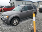 Ford Escape 2012