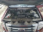 Ford Expedition 2013