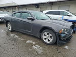 Dodge Charger 2014