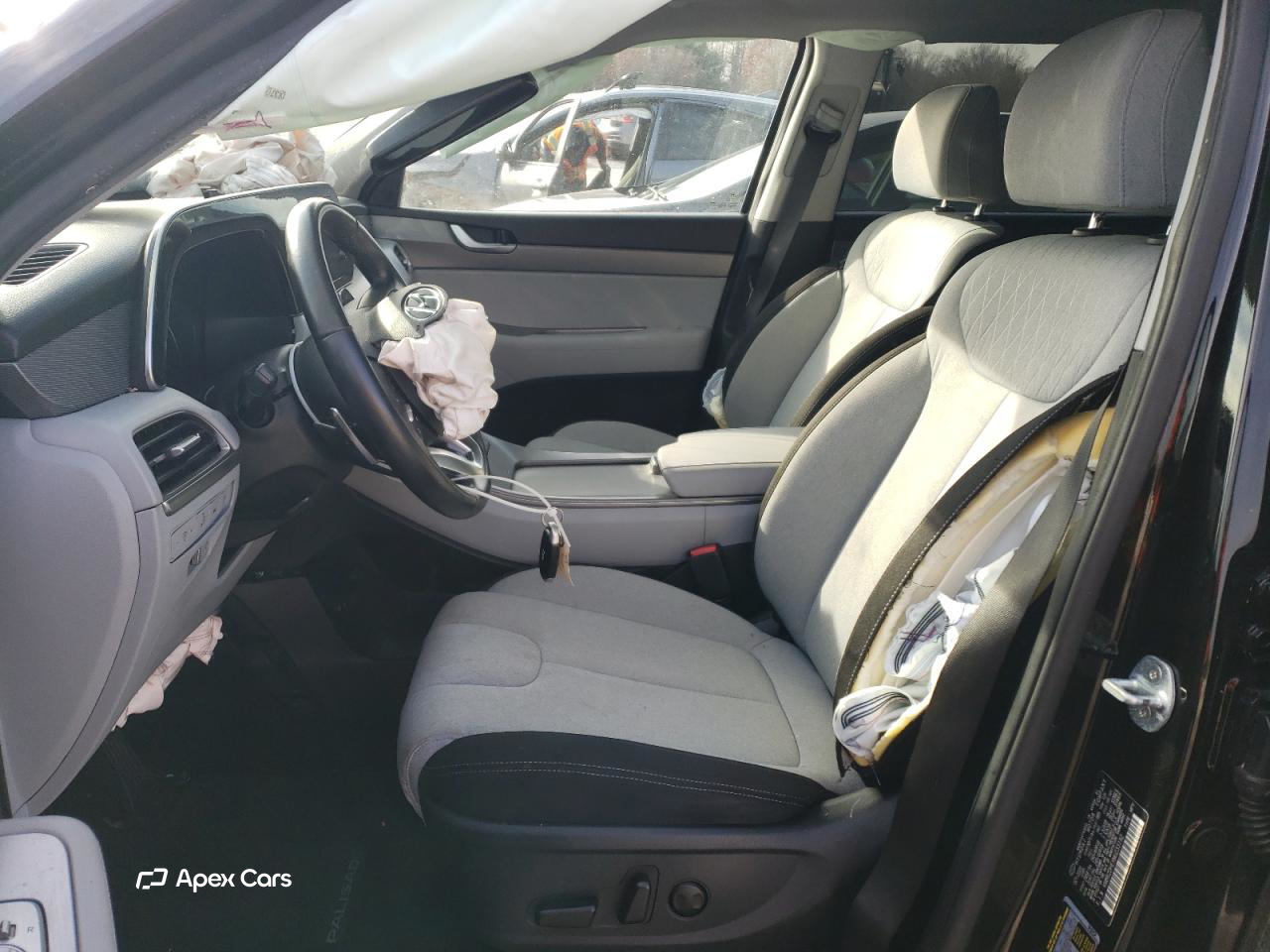 Hyundai Palisade 2021