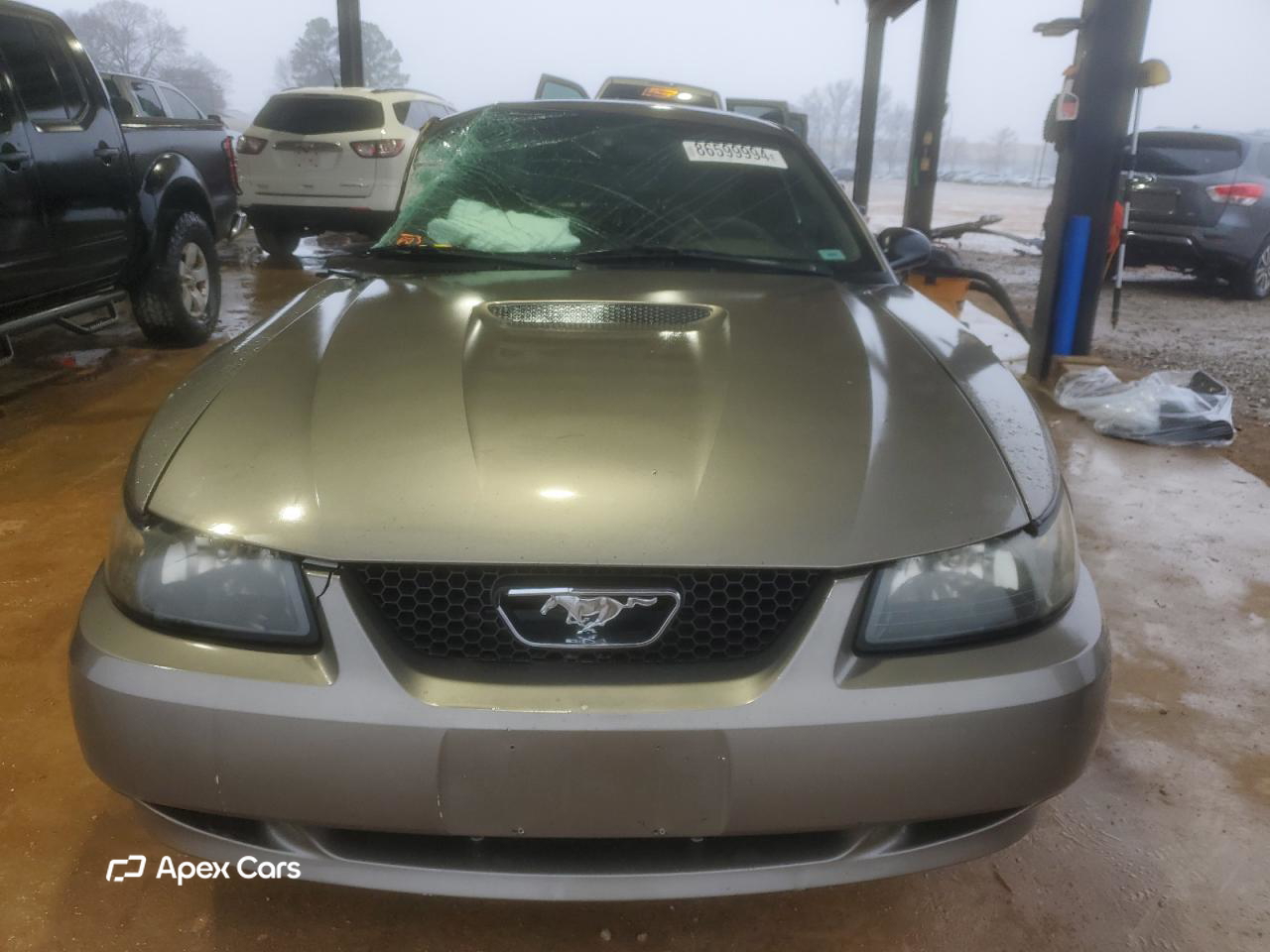 Ford Mustang 2002