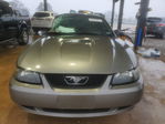 Ford Mustang 2002