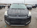 Ford Escape 2015