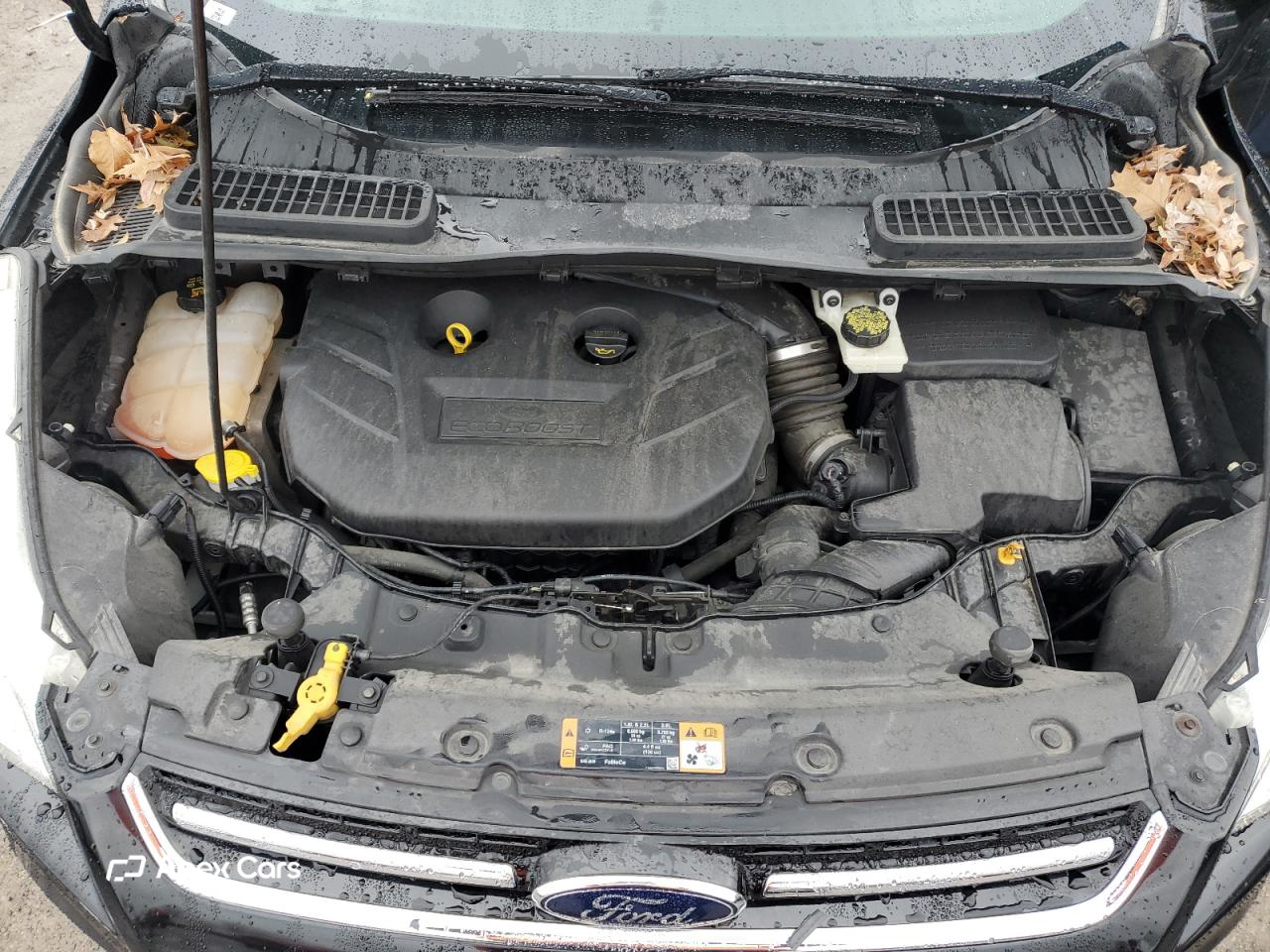 Ford Escape 2015