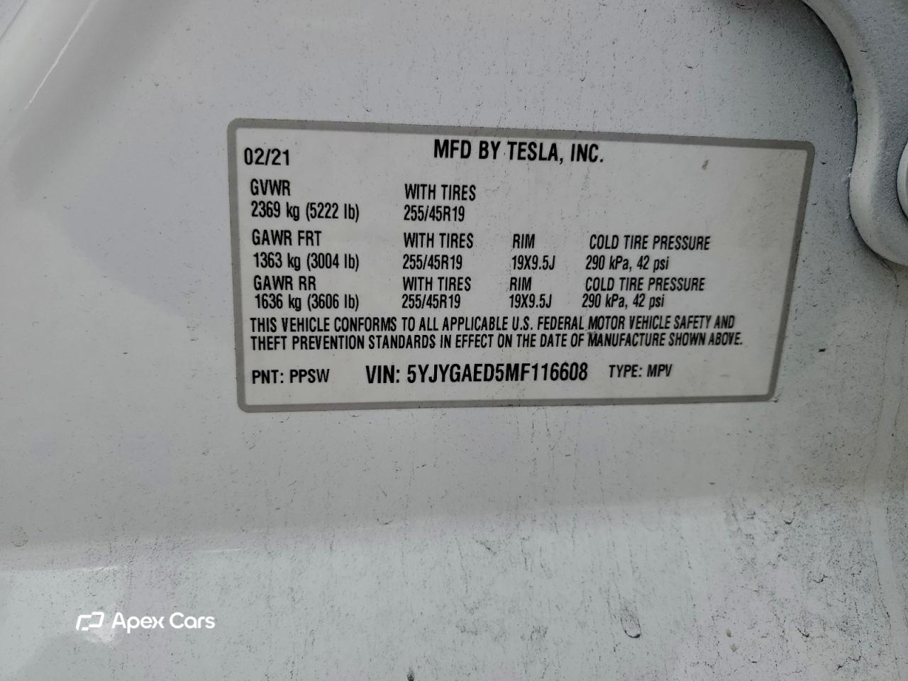 Tesla Model Y 2021