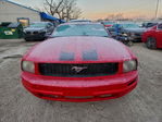Ford Mustang 2005