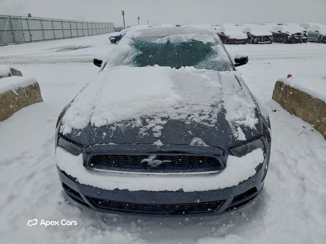 Ford Mustang 2014