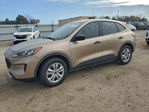 Ford Escape 2020