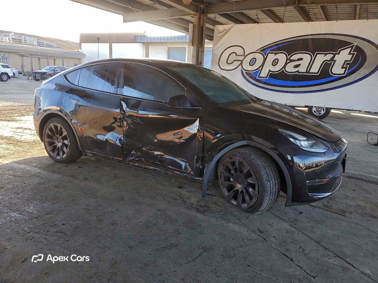 Tesla Model Y 2021