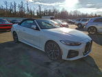 BMW Series 4 2021