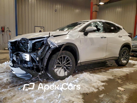 Lexus NX 2024 - Image 1 of 13
