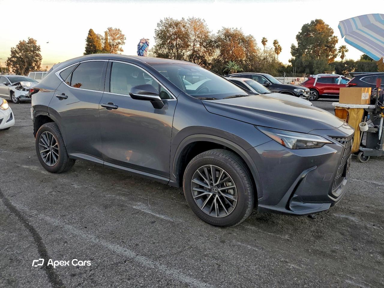 Lexus NX 2024