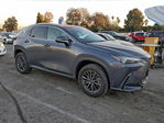 Lexus NX 2024