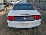 Ford Mustang 2019