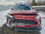 Toyota RAV 4 2025