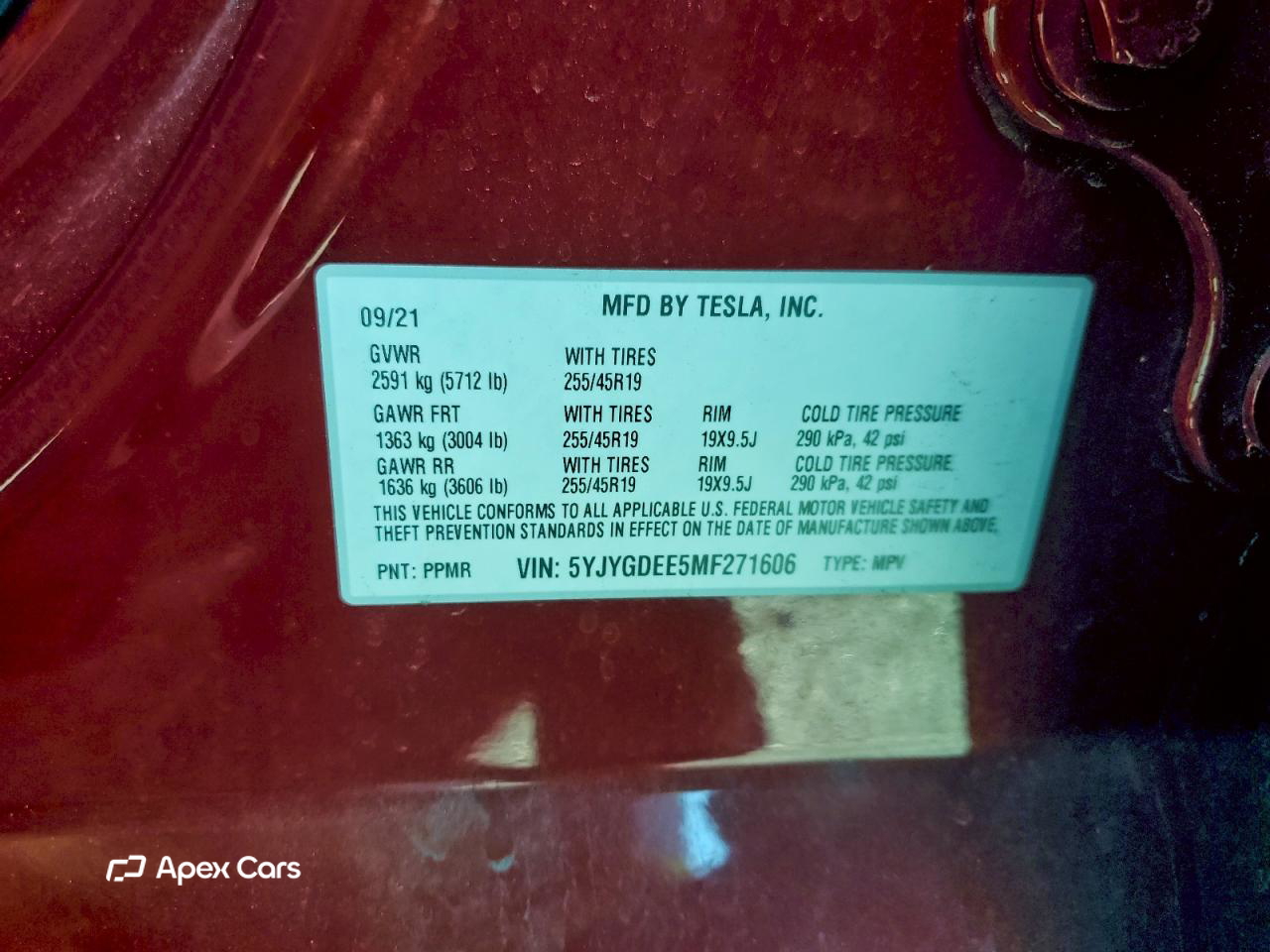 Tesla Model Y 2021