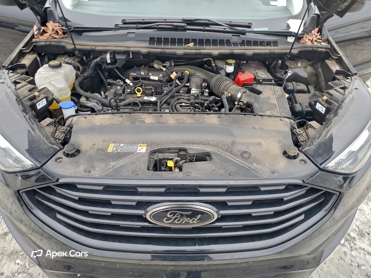 Ford Edge 2024