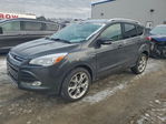Ford Escape 2016