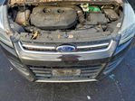 Ford Escape 2016