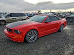 Ford Mustang 2005