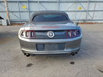 Ford Mustang 2013