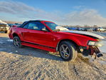 Ford Mustang 2002