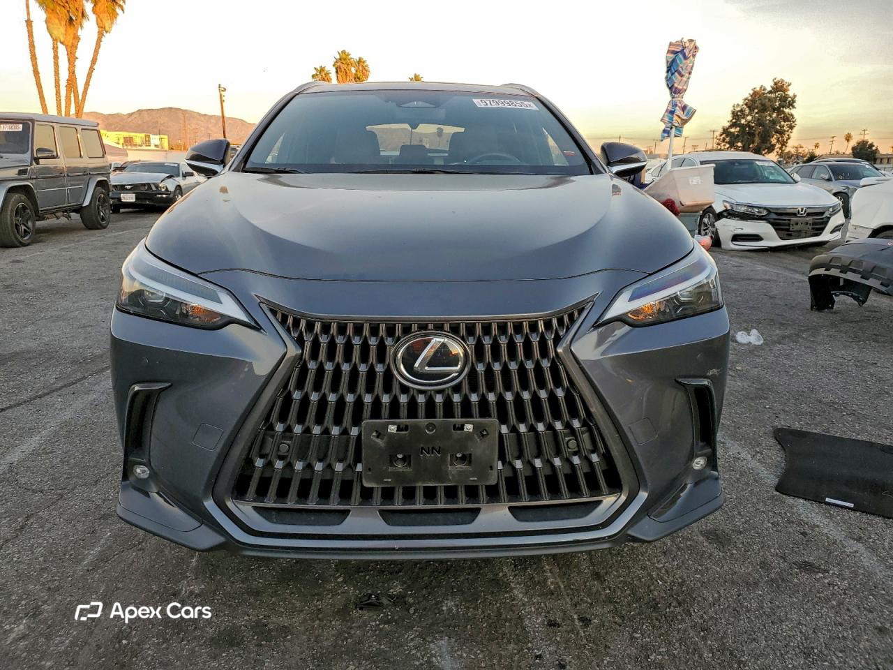 Lexus NX 2024