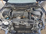 Honda Accord 2017