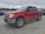 Nissan Navara (Frontier) 2010
