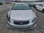 Honda Accord 2010