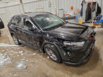 Toyota RAV 4 2024