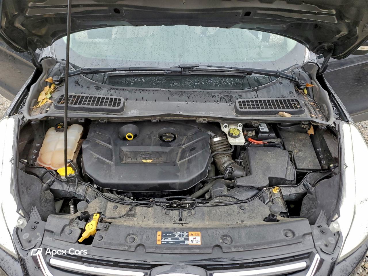 Ford Escape 2015