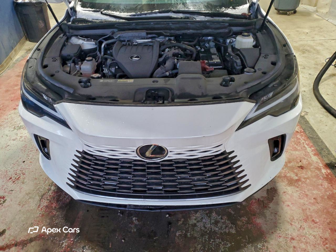 Lexus RX 2023