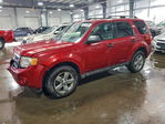 Ford Escape 2012