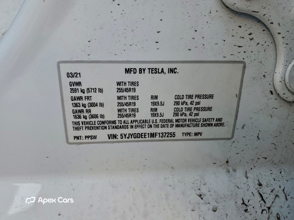 Tesla Model Y 2021