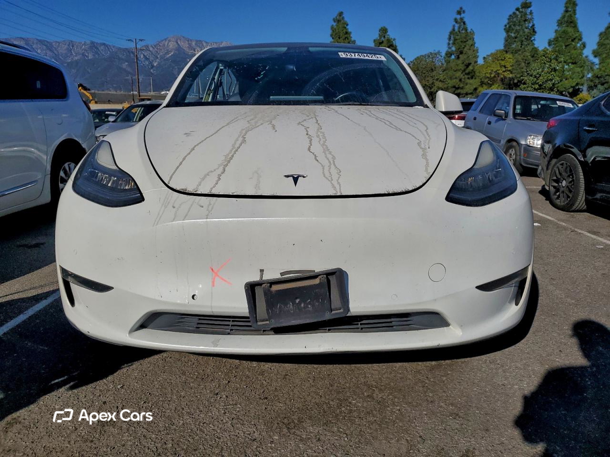 Tesla Model Y 2021