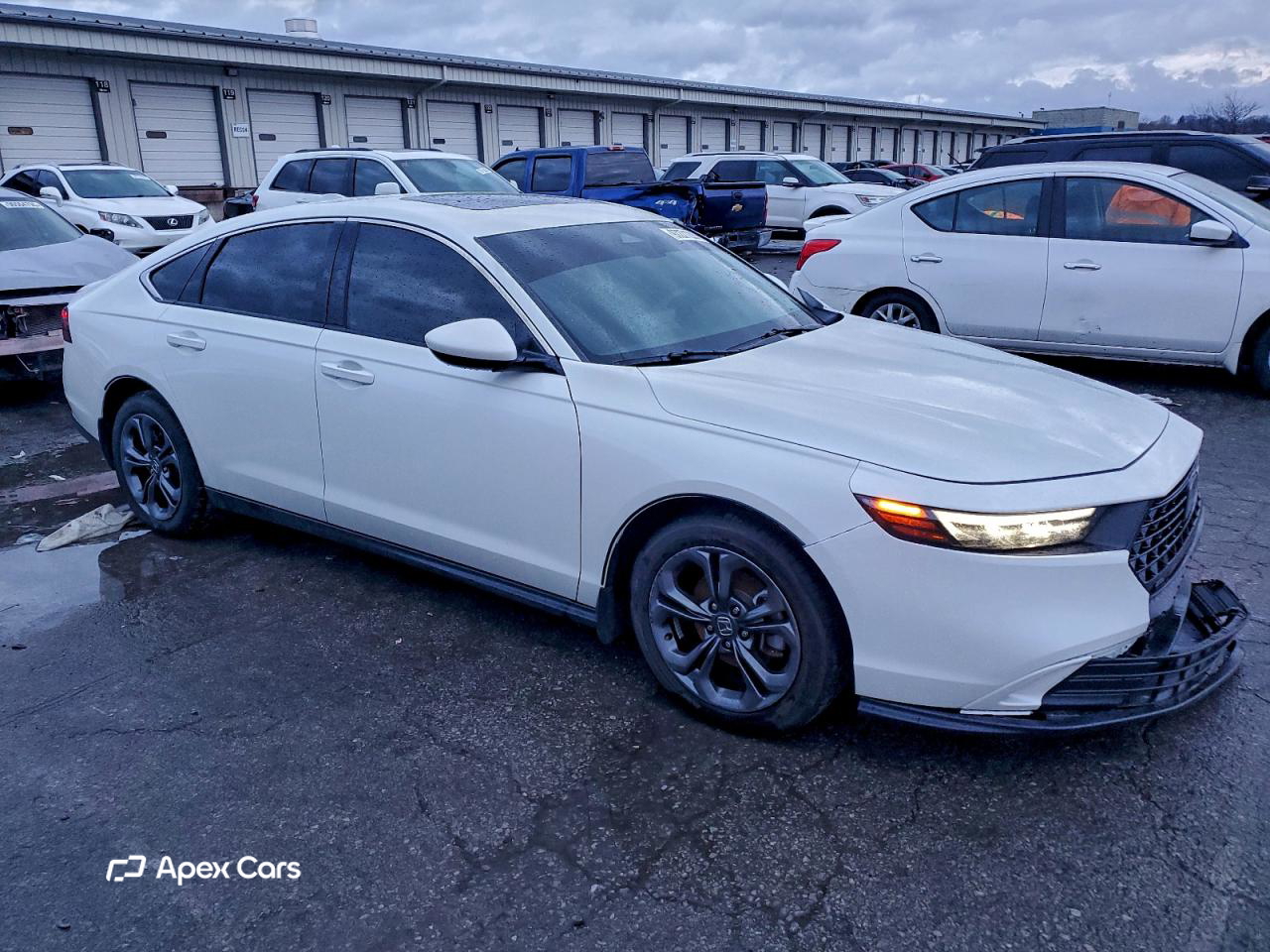 Honda Accord 2023