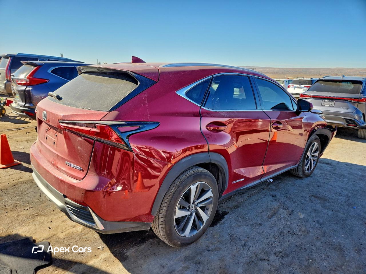 Lexus NX 2019
