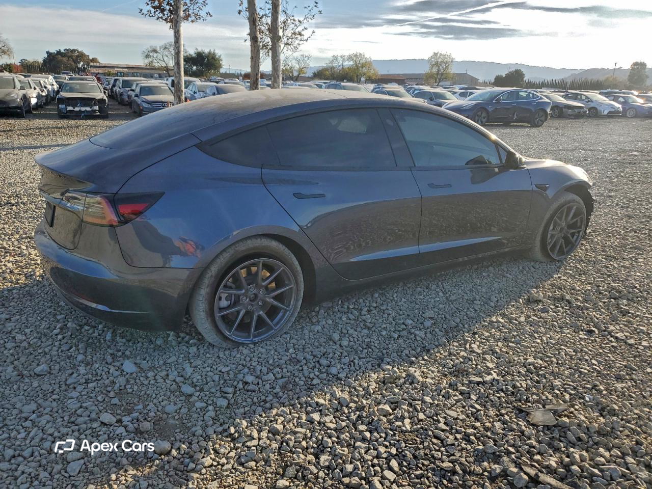 Tesla Model 3 2023