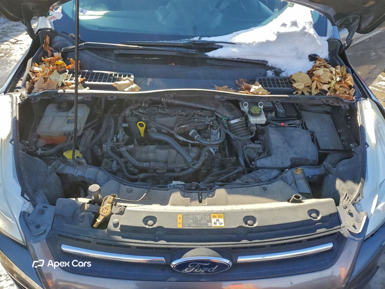 Ford Escape 2013